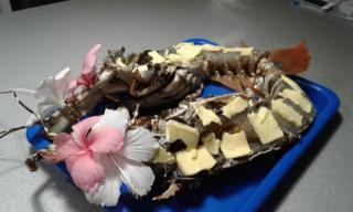 Mamy Cherie - Rodrigues Island - 1