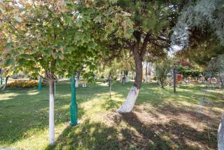 Votsalo Apartments - Paralia Katerinis - 3