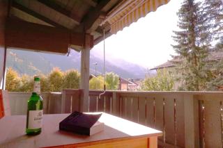 Apartment Ahorn View - Mayrhofen - 3