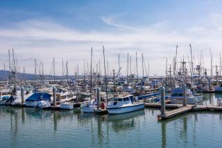 @ Marbella Lane Seaside Retreat, Walk to the Beach - Half Moon Bay - 0