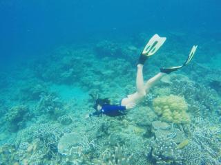 The Cliff Hostel, M'Pay Bay - Koh Rong Sanloem - 5