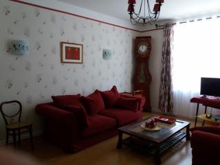 Gîte "les hortensias" au coeur de Lacaune - 8