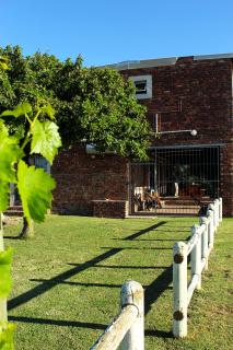 African Adventures Accommodation - Joostenberg Vlakte - 6