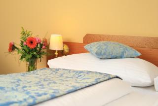 Hotel Bellevue Wien - Viena - 6