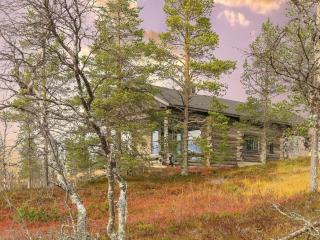 Holiday Home Kiehinen 2 by Interhome - Saariselkä - 3
