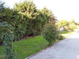 Apartamentos La Regata - Viveda - 6