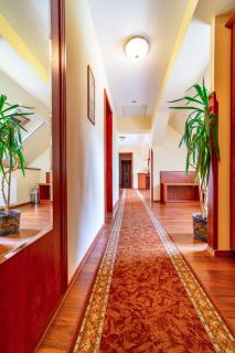 Pannon Hotel Bejelentkezés 20 óráig, Check-in until 20 o'clock, Einchecken bis 20 Uhr - Mohács - 7