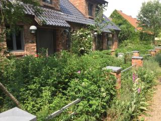 Große Wohnung / Haushälfte in Peetzig am See - Angermünde - 9