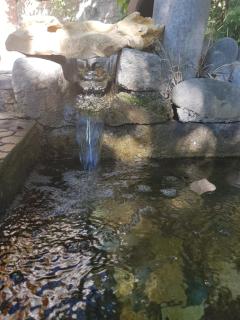 Amiran's Lake - Tbilisi - 2