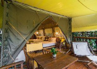 Hintok River Camp - 4