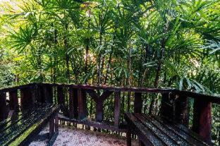 Phu Pha Aonang Resort & Spa - Ao Nang Beach - 6