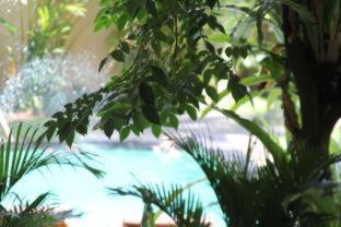 Secret Garden Sky - 6