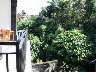 Raka House Accommodation - 9