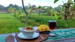 Ubud Paradise Villa - 5