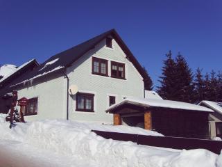Ferienwohnung Peter Engelhardt - Schmiedefeld am Rennsteig - 5