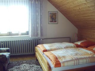 Ferienwohnung Peter Engelhardt - Schmiedefeld am Rennsteig - 2