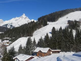 Appartement Hartl - Filzmoos - 9