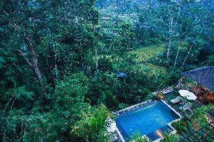 Nata Ubud - 3