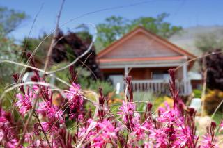 The Beautiful Cabins - Rosh Pinna - 2