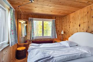 Chalet Speciale - Celerina - 2