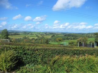 Irfon Cottage - Builth Wells - 2
