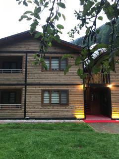 New toprak pansiyon - Uzungöl - 5