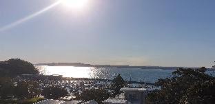 Marina Resort - 5