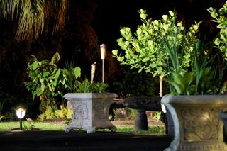 Hilltop Legacy Vacation Rental - Hilo - 3