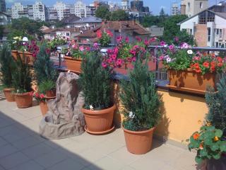 Penthouse City Centre - Iaşi - 7