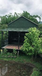 Nok Chan Mee Na - 5