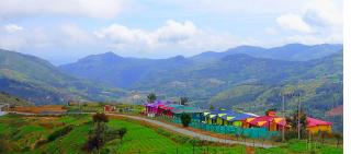 The Bowers Chalet - Ooty - 0