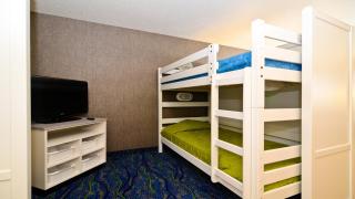 Holiday Inn Express Hotel & Suites Fort Atkinson by IHG - 3