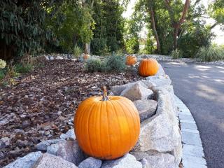 Les Rives des Habsbourg - 1