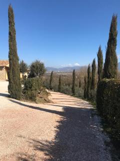 La Macina di Bettona - Bettona - 4