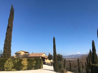 La Macina di Bettona - 7