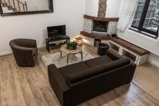 Elatos Luxury Villas Erato - Sinaia - 7