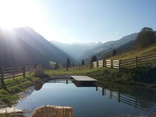 Alpenbauernhaus Vorderbrandthof - 8