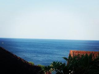 Titi Sedana Homestay - Amed - 6