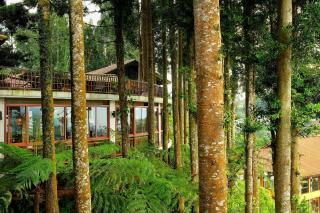 The Grand Hill Resort-Hotel - 7