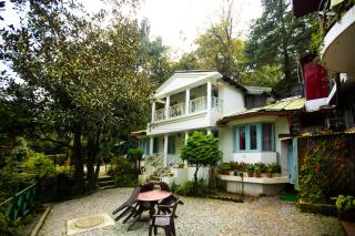 The Hive Cottage By Royal Collection Hotels - Nainital - 7