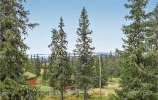 Stunning Home In Sjusjøen With Kitchen - Sjusjøen - 7