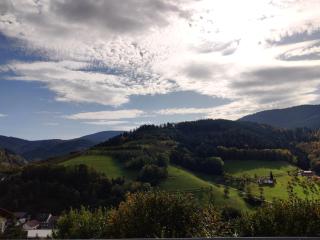 Ferienwohnung Christa - Bad Peterstal-Griesbach - 5