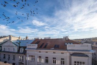 Blue President - Bratislava - 3