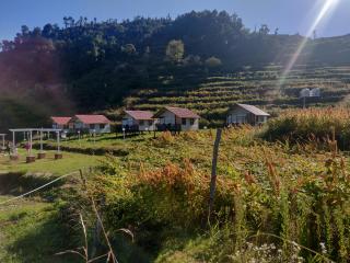 The Hillside Cottages - Kanatal - 6