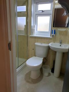 Wanstead Hotel - Londra - 8