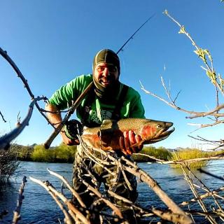 Solar de las Araucarias - 2