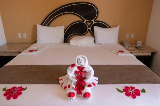 Qualton Club Ixtapa All Inclusive - Ixtapa - 4