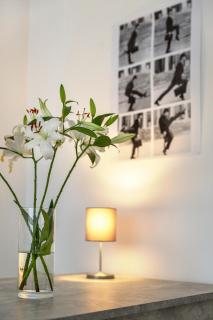Newton-Appartement mit 3 Schlafzimmern - Berlin - 9