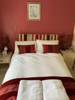 The Carew Arms - Taunton - 8
