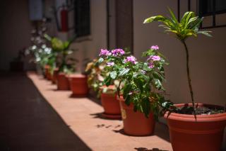 Hostal Gladismar - Puerto Villamil - 5